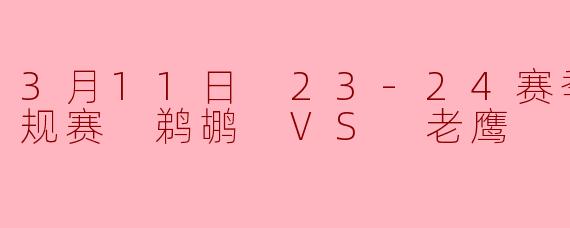 3月11日 23-24赛季NBA常规赛 鹈鹕 VS 老鹰